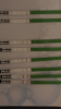 9CD8DAD0-F91A-4604-9696-C8413769F3EF.png