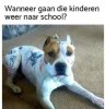 FB_IMG_1588174102803.jpg