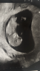 4F6221A7-ED8E-4204-BA8F-09143CF27AAD.png