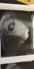 IMG-20200430-WA0003.jpeg