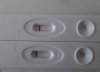 20200503_094259.jpg