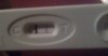 IMG-20130313-00033.jpg