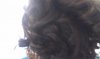 2013-03-14 11.25.36.jpg