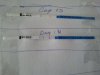 2013-03-20 12.20.37.jpg