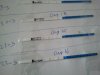 2013-03-22 13.24.25.jpg