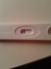 11 dpo 21-3.jpg
