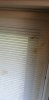 IMG-20200218-WA0004.jpeg