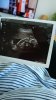 IMG-20200506-WA0004.jpeg