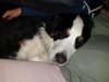 20200507_221004.jpg