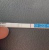 EAE0541C-03DE-47D1-8B28-DA3AC13D7FB0.jpeg