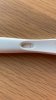 11 dpo(1).jpg