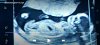 Screenshot_20200521-074425_Video Player.jpg