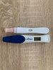 14 dpo.jpg