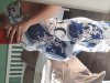 20200525_072608.jpg