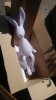 IMG-20200520-WA0022.jpeg