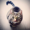Bildschirmfoto 2019-03-11 um 11.31.26.png