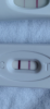 CEAAA096-FA2D-4A8F-99DC-092600E4B9ED.png