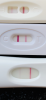 0FCF8C92-DDF6-4704-A121-E1147E363180.png