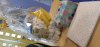 IMG-20200529-WA0001.jpeg
