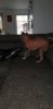IMG-20200605-WA0012.jpeg