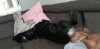 IMG-20200526-WA0033.jpeg