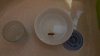 IMG-20200606-WA0005.jpeg