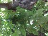 20200601_162753.jpg