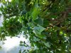 20200601_162720.jpg