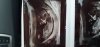 IMG-20200615-WA0008.jpeg