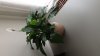 IMG-20200604-WA0002.jpeg