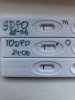 C9D9BB4E-0CCD-4AB9-9ED1-CC91DC9F6066.jpeg