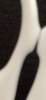 396B3898-74A7-44D2-864C-65F043A8E477.png