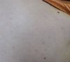 IMG_20200701_235425.jpg