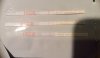 B203DB2C-2719-4EA1-BD1B-AD2852E724E8.jpeg