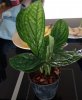 20200703_160706.jpg