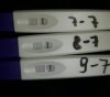 20200709_100232.jpg