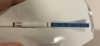 1A27261C-D471-4EE4-A5A0-DEA6E7C10DA9.png