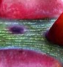 20200713_063747.jpg