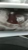 IMG-20200714-WA0019.jpeg