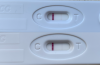 E01EF4AD-3453-4431-837F-36805B8A0EF6.png