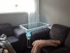 20200715_122113.jpg