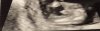 1F275585-095C-422B-9BDE-7301390B716C.jpeg