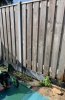 1C9232F8-078F-4C12-AF73-58F98DABC96E.jpeg