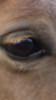 AFE820ED-80BC-4A54-9D84-ECD6F0740B34.png