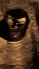 Screenshot_20200718-164754_Gallery.jpg