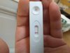 20200719_122953.jpg