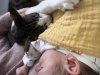329AAE9C-A0CE-473B-9EF2-85866FDF831E.jpeg