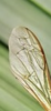 14AA5DBA-2517-4CA7-B05A-0014BB555F38.png