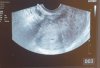 20200807_121133.jpg