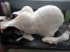 20200808_161252.jpg